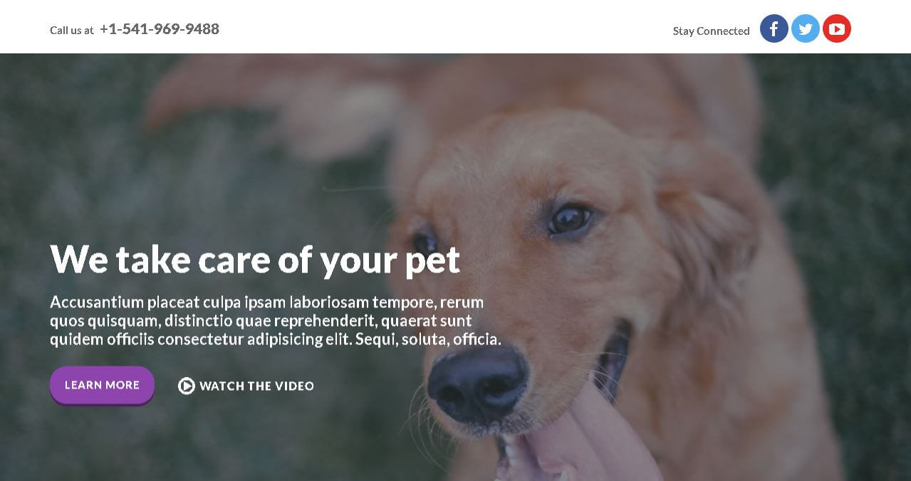 Veterinary Clinic Website