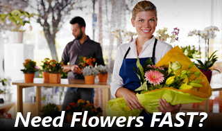 Need Flowers Fast? We Deliver!